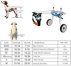 HHQSC Best Walk Dog Wheelchair Adjustable 2 Wheels Walking Aid Dog Maid  Trolley Disabled Dog Walkway Car For Pets Rehabilitation For (Size :  XSmall): Buy Online at Best Price in UAE - Amazon.ae