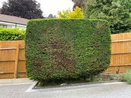 Water features & wildlife gardens. Tom S Tree And Gardening Service Home Facebook