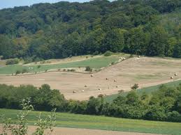 Logis En Pleine Nature En Normandie Maisons A Louer A Campneuseville Haute Normandie Maison Organique Pleine Nature