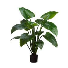 Bird Of Paradise Palm Plant One 5 Foot Artificial Silk Bird Of Paradise Palm Tree Potted Plant Artificial Plants Artificial Plants Indoor Curcuma Plant