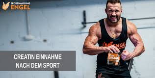 Neben der wahl der geeigneten transportmatrix und des richtigen supplements soll es in diesem text um die durchführung der creatin kur gehen. Creatin Einnahme Nach Dem Training