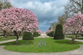 Place De La Republique Strasbourg Strasbourg Photo Places