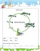 3rd Grade Science Activity Worksheets Pdf Fish Life Cycle Science Worksheets Cycle For Kids