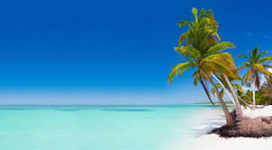 The adults only & 24h all inclusive hotel riu republica opens all year round and is located right on the beautiful arena gorda beach. Que Tan Seguro Es Viajar A Punta Cana 2021 Actualizado Viaja Seguro Al Extranjero