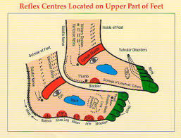 reflexology diagram diagrams of reflexology reflexology