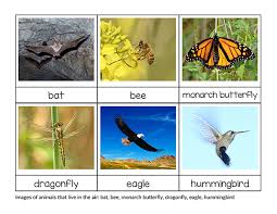 Sorting Animals That Live On Land Air And Water Montessori Printable Animals Live In Water Water Animals Animal Printables