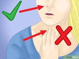 Join millions of learners from around the world already learning on udemy. 4 Ways To Sing High Notes And Songs Wikihow