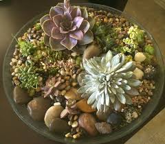 Extra Large Shallow Bowl Terrarium Terrarium Garden Terrarium Annual Flowers