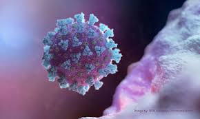 Variante indiana é a mais recente a causar preocupação entre. Maranhao Confirma Primeiros Casos De Covid 19 Por Variante Indiana No Brasil Coronavirus Em Fortaleza Ceara E Mundo Ultimas Noticias No O Povo Online