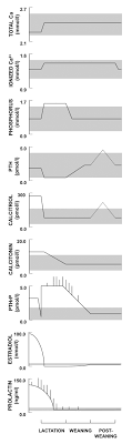After injection, 22% of patients developed hypophosphatemia with a phosphate level less than 0.80 mmol/l (they were all within normal range before injection). Calcium And Phosphate Metabolism And Related Disorders During Pregnancy And Lactation Endotext Ncbi Bookshelf