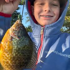ᐅ Hawkins Pond fishing reports🎣• Laconia, NH (United States) fishing