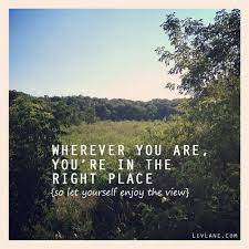 Quotes About Enjoying The View Quotesgram