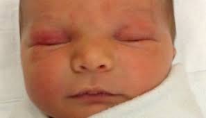 Oswego County TodayHarrison J. Noel, Jr., 56