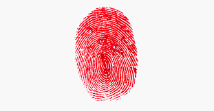 You can now use them with your smartphone to keep track of your body. New Scam Apps Take Advantage Of Iphone Touch Id Wired
