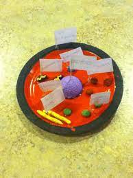 Using your ipad, fill in the template for both a plant cell and an animal cell. Animal Cell Model With A Paper Plate And Polymer Clay Plant Cell Project Animal Cell Project Animal Cells Model