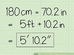 How To Convert Human Height In Centimeters To Feet With