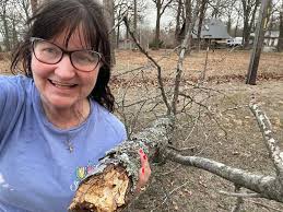 NEsk was massive today! There was LOTS of trees floating down so be careful  out there over the weekend!! Be aware the bridge could have shifted from  the top of Shotgun…