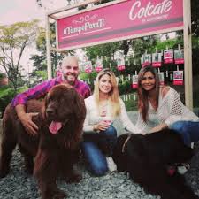 Los mejores tableros de cristina hurtado. Asi Sorprendimos A Los Duenos De Mascotas Colcafe