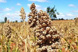 Sehemu 5 za mwanamke akiguswa anakojoa atake asitake pt 2. Hizi Ndio Sehemu 10 Zenye Msisimko Mkali Zaidi Kwenye Mwili Wa Mwanamke Muhabarishaji News Agency