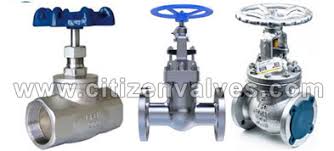 Globe Valve Manufacturers In India Globe Valves Price List