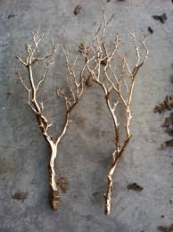 Spray Paint Tree Branches In Silver Or Gold And Set In Vases For Centerpieces Or Simple Decor Gold Diy Gold Spray Paint Spray Paint Cans