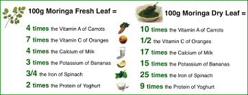 SFA Moringa Study
