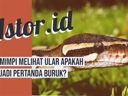 Ular sebagai salah satu hewan yang berbahaya di bagian kaki. Tafsir Mimpi Digigit Ular Di Tangan Kiri