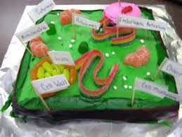 3d Plant Cell Cake Project Image Gallery Plant Cell Project Cells Project Plant Cell Cake