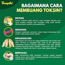 Risiko yang bisa timbul jika anda kekurangan sebab, olahraga ini bisa menambah massa otot. Detox Sahabat Terbaik Untuk Perut Dan Fersyellabeauty Izzati Facebook