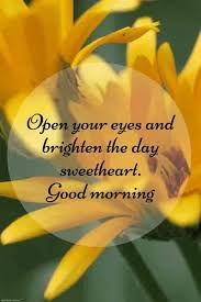 We did not find results for: 45 Morning Glories Ideas In 2021 Good Morning Greetings Morning Images Good Morning Images