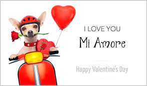 It's valentine's day and what could be a better time to let your dear ones know that you love them. Happy Valentine S Day Mi Amor Etandoz