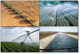 د عبدالعظيم طنطاوي يكتب دور العلم والتكنولوجيا في حل لمشكلة نقص المياه في مصر Agri2day اجري توداي