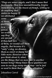 Inspirational Quote On Dogs From Carroll Dogs Are Angels Instagram Sharkymarkybook My Dixie Girl Definitely Was My Angel On Earth Dog Quotes Dog Poems Dogs