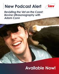 In this episode of focal point we're catching up with Adam Conn  @thevetatthecoast19, to hear how his use of colour Doppler for bovine  reproductive ultrasonography has evolved since our 2023 chat. 🐄💬