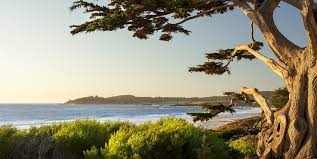 While staying at comfort inn carmel by the sea hotel, visitors can check out the pilgrim's way community bookstore and secret garden (0.2 mi) and fairy tale cottages of hugh you can also enjoy a fitness center and free breakfast while staying at comfort inn carmel by the sea hotel. 13 Best Carmel By The Sea Bed And Breakfasts Hotelscombined 13 Best Carmel By The Sea Bed And Breakfasts
