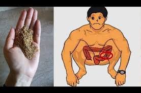 ملعقة واحدة كل يوم لعلاج الامساك المزمن و تنظيف القولون و تخلص من انتفاخ البطن Youtube Health Fitness Nutrition Health Benefits Of Ginger Health Articles