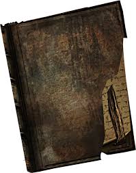 In the same way a bullet doesn't do you any good on its own, a spell must be loaded into a wand for you. Ruined Book Elder Scrolls Fandom