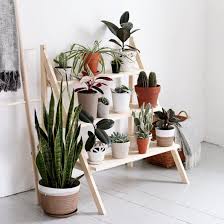 Industrial plant stand for indoor and outdoor uses; Diy Ladder Plant Stand Craftgawker