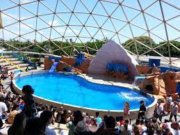Miami With Kids Tips For Baby Travel Miami Travel Miami With Kids Cool Places To Visit