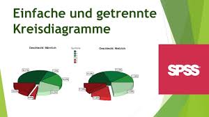 Einfache Und Getrennte Kreisdiagramme In Spss Erstellen Formatieren Daten Visualisieren Spss 7 Youtube