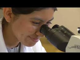 Perla Marysol Peña Reséndiz