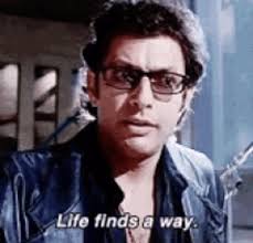 In all seriousness how did Tammy survive season three? : r/1000lbsisters