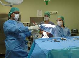 Le service web alexandria est motorisé par memodata pour faciliter les recherches sur ebay. Le Management Par La Qualite En Stomatologie