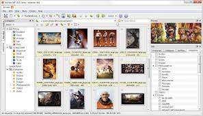 Xnview mp/classic is a free image viewer to easily open and edit your photo file. Powerful Image Viewer Xnview Mp Xnview Com