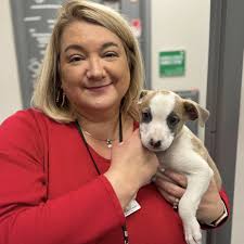 14 Puppies Ready for Adoption! We believe every workplace should have an  “Emergency Puppy” under each desk—just in case. Today, I have Lance in my  office, and let me tell you, he