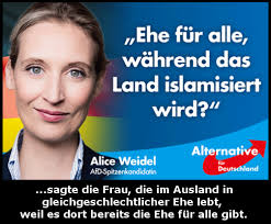 Februar 1979 in gütersloh) ist eine deutsche politikerin der alternative für deutschland (afd). Homosexuelle Mit Kindern Das Geht Gar Nicht Ausser Bei Mir Ich Bin Die Gottkaiserin Der Graslutscher