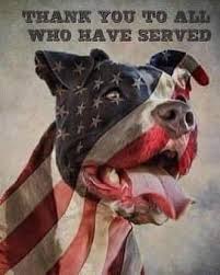 Blessed be the Bullies Rescue