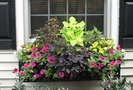 Wood, metal, or plastic window boxes? Danag01 Windowboxes Window Box Pallet Garden Summer Window Boxes