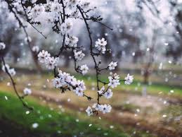 Resultado de imagen de MARZO