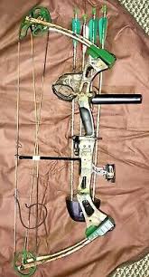 Bowhunting Bear Compound Bow